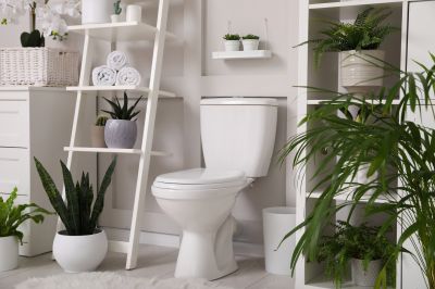 Eco-Friendly Bathroom Updates